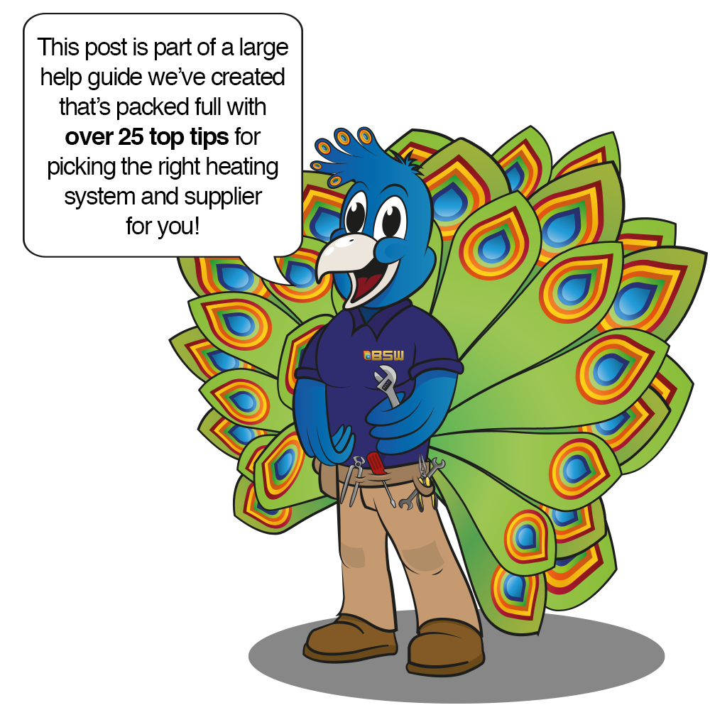 Peacock-Survival-Guide